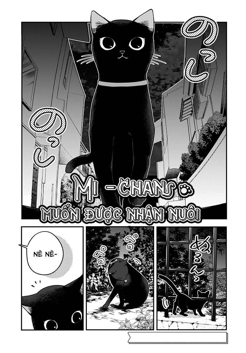 mi-chan wa kawaretai chapter 5 - Trang 2