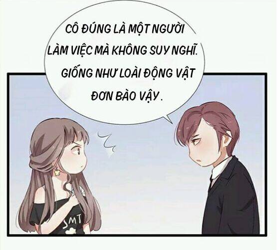 thiên kiều bách mị chapter 1 - Trang 11