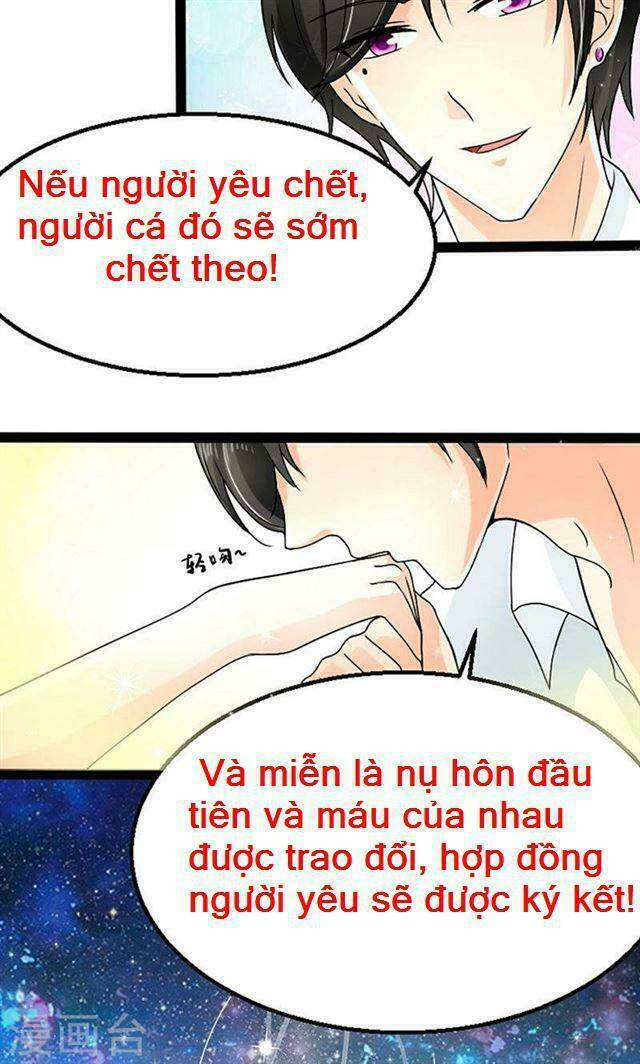sủng vật người cá của tổng tài chapter 3 - Trang 11