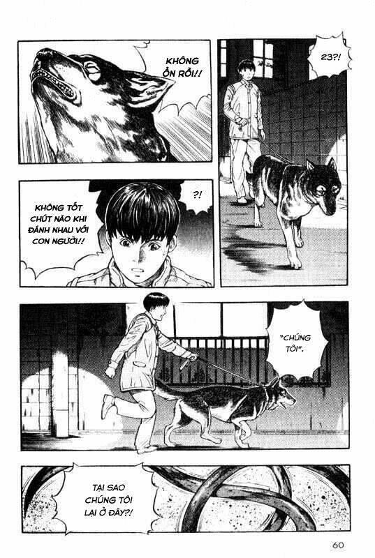 inugami chapter 6 - Trang 21