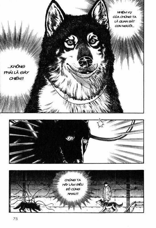 inugami chapter 6 - Trang 36