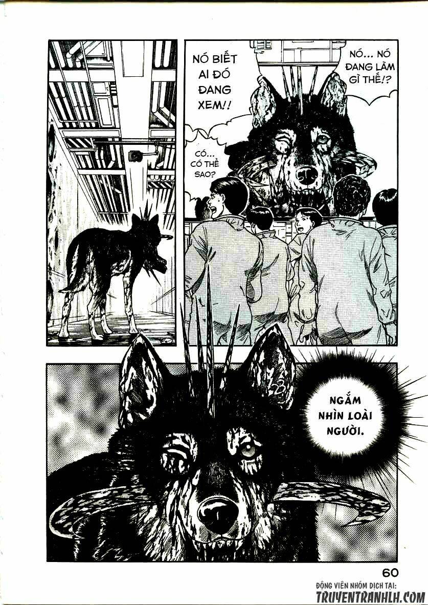 inugami chapter 16 - Trang 21