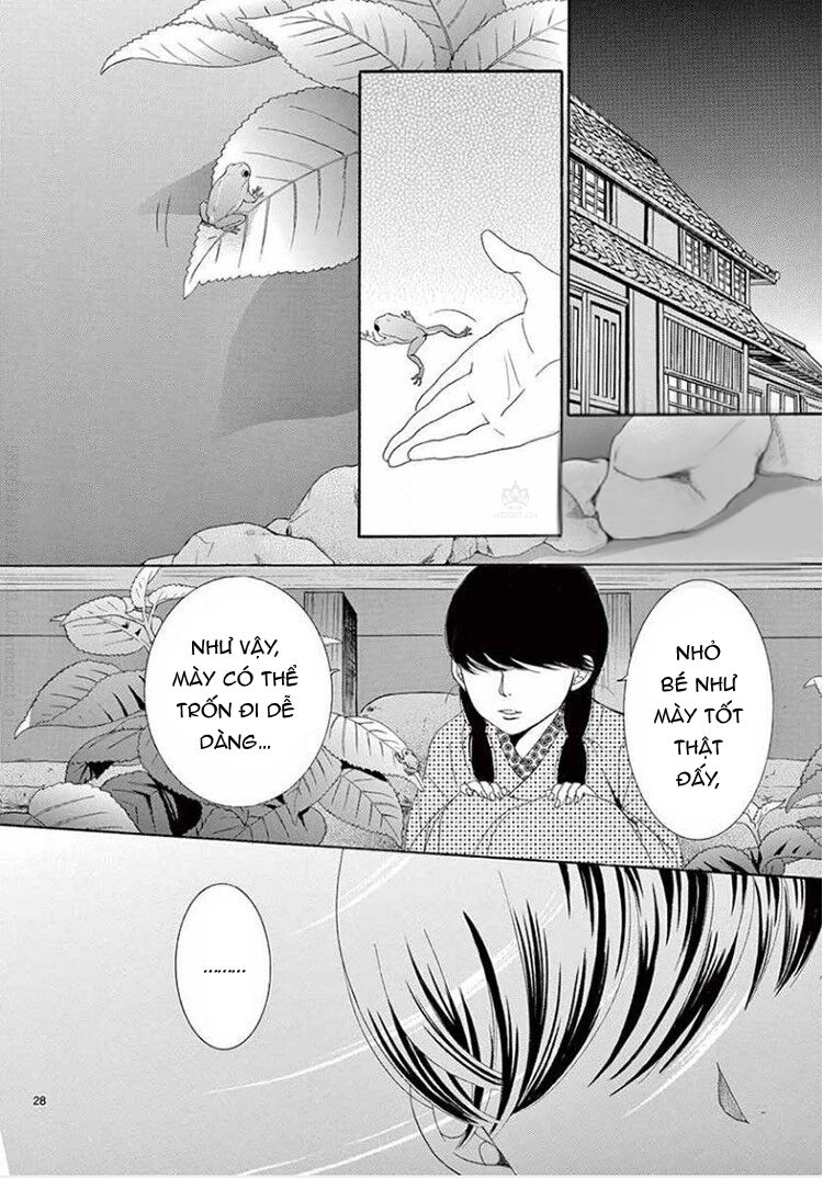 kiniro japanesuku chapter 1 - Trang 31