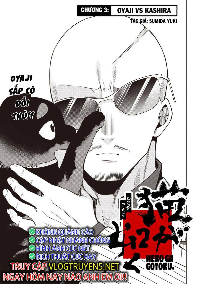 đại ca băng mèo mướp chapter 3 - Trang 4