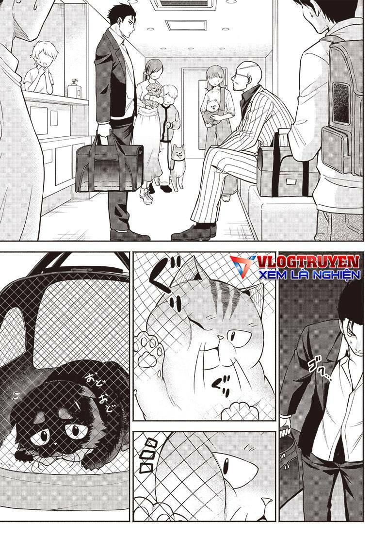 đại ca băng mèo mướp chapter 3 - Trang 9