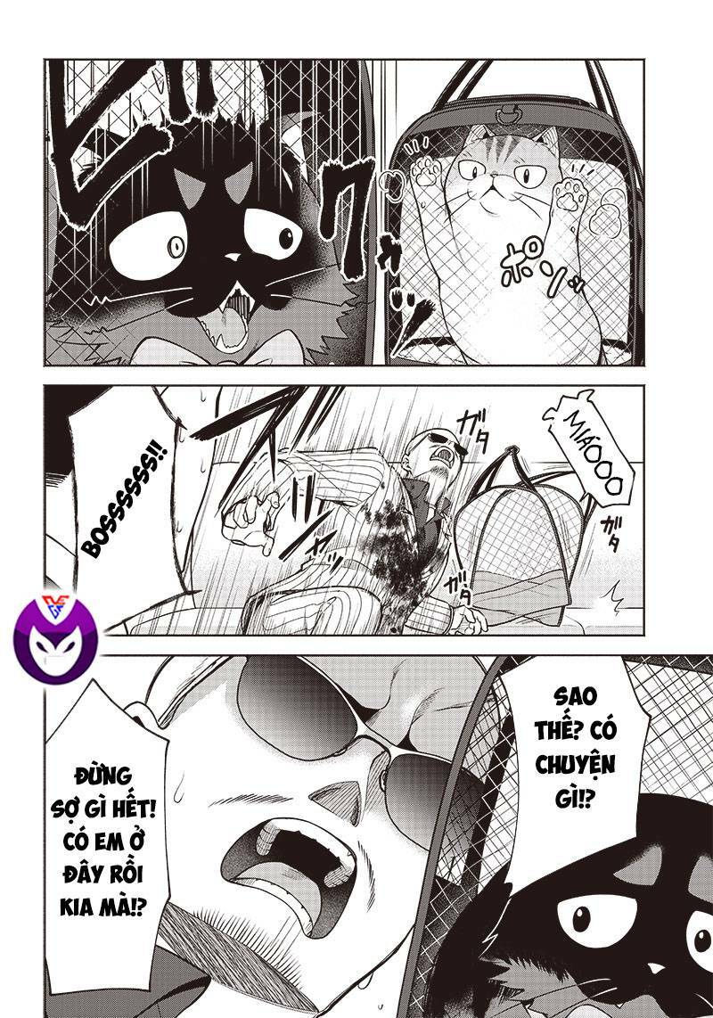 đại ca băng mèo mướp chapter 3 - Trang 10
