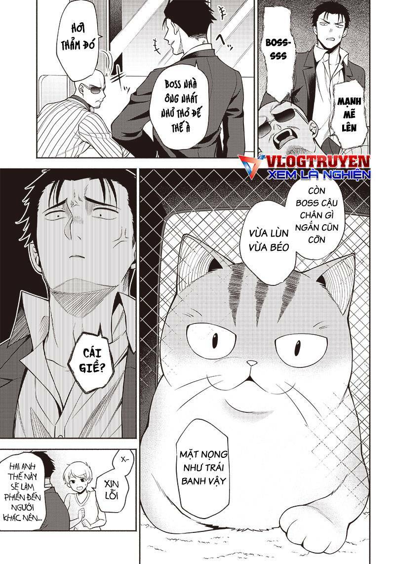đại ca băng mèo mướp chapter 3 - Trang 11