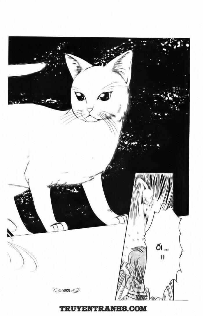 ước nguyện - wish - clamp chapter 12 - Trang 8
