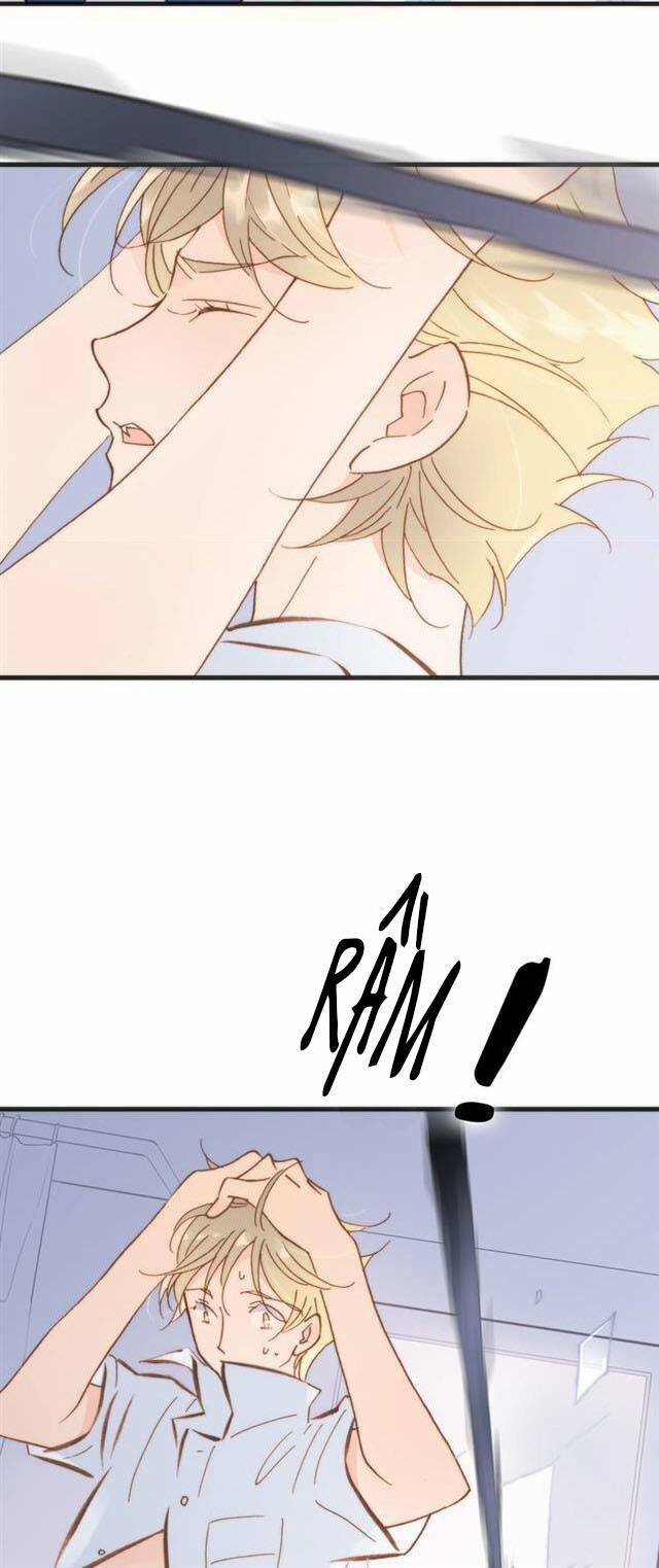 vũ trụ cầm vị hưởng chapter 7 - Trang 10