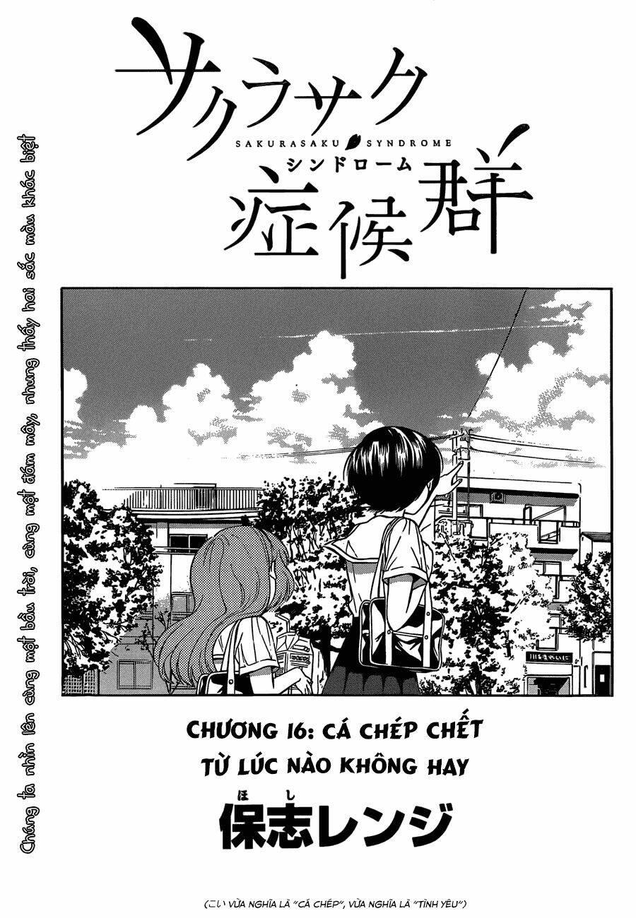 sakurasaku syndrome chapter 16 - Trang 1