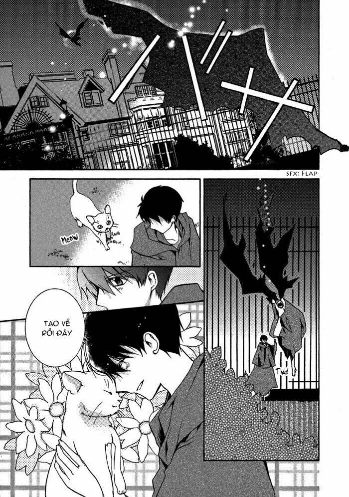 mahoutsukai no neko chapter 10 - Trang 12