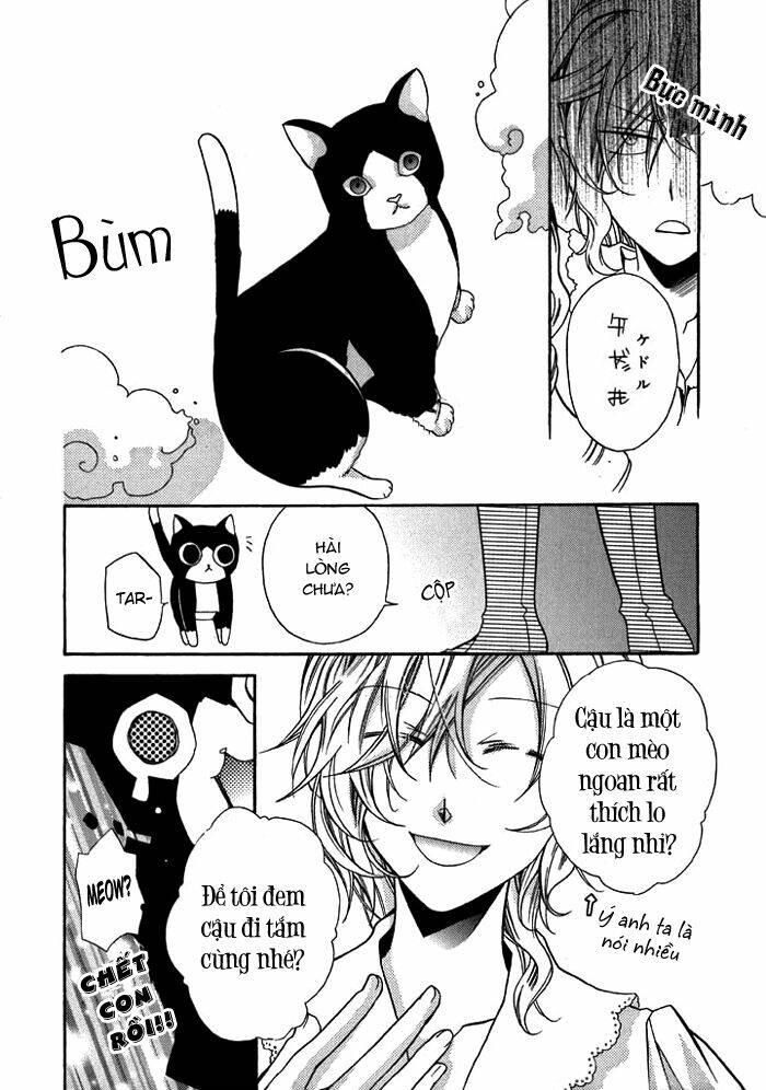 mahoutsukai no neko chapter 13.1 - Trang 11