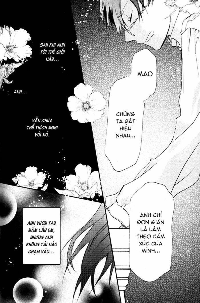 mahoutsukai no neko chapter 22 - Trang 28