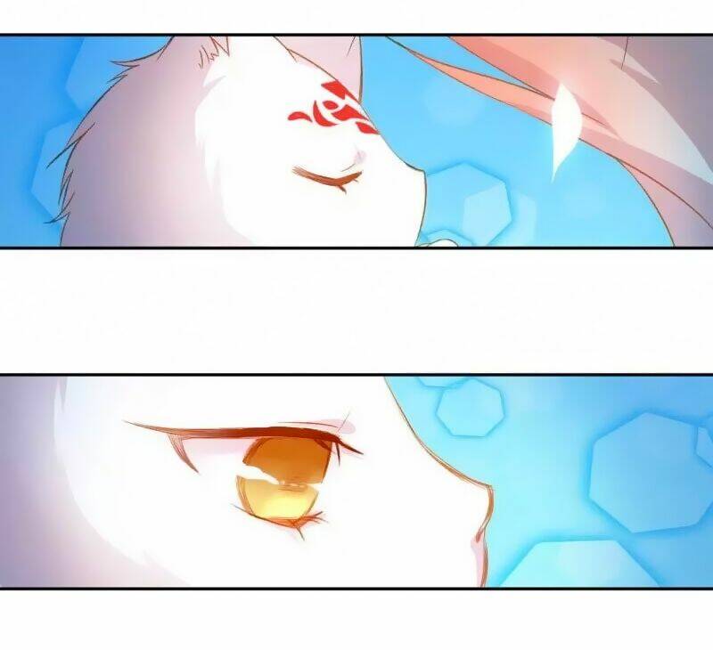 thiên hồ kiếp chapter 1 - Trang 11