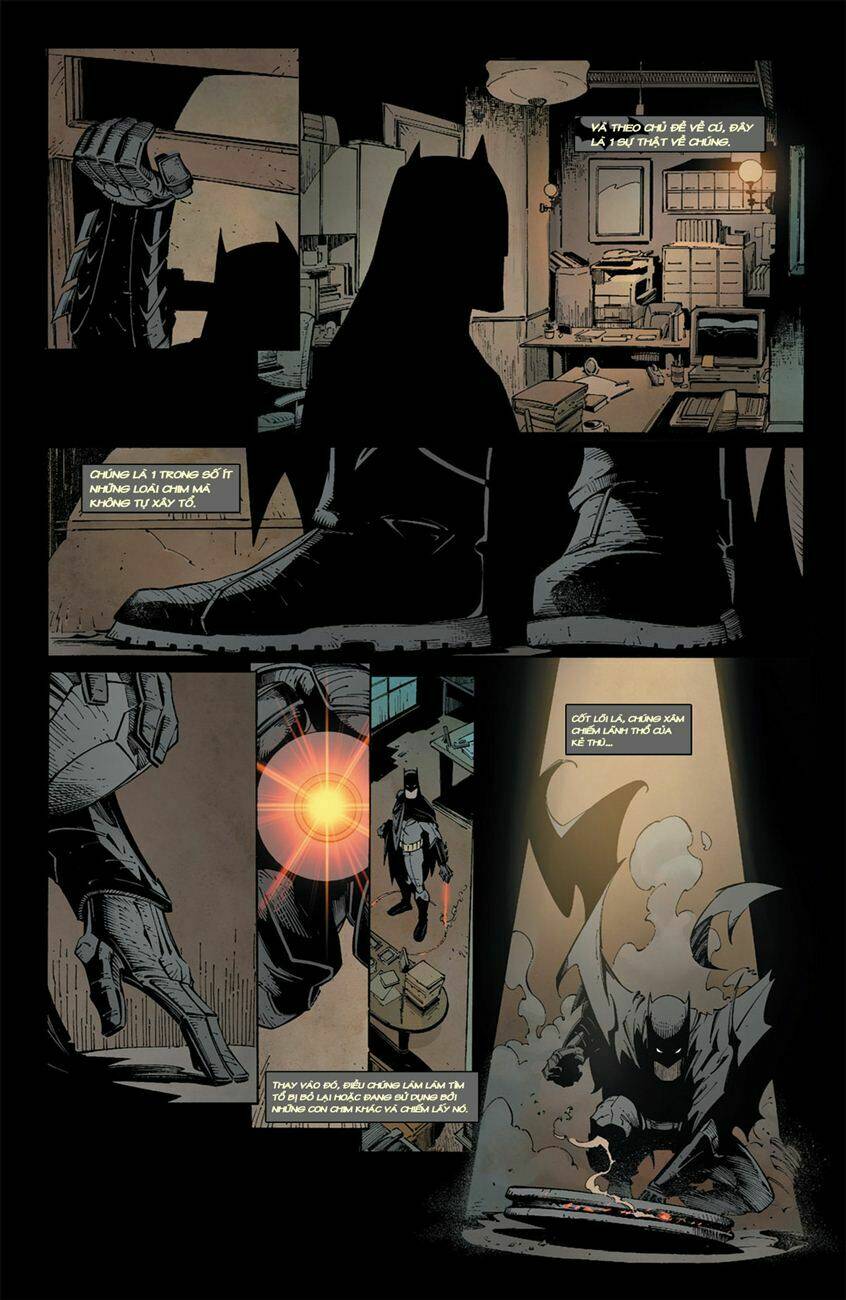 batman chapter 3 - Trang 16