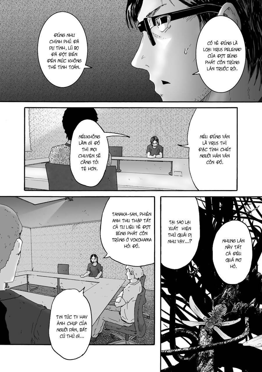 insects r chapter 5 - Trang 12