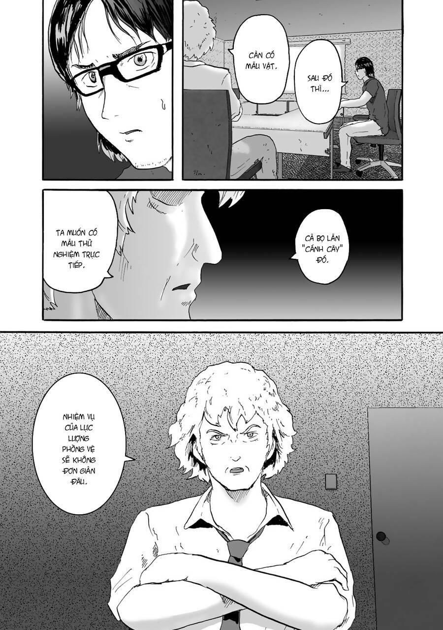 insects r chapter 5 - Trang 13