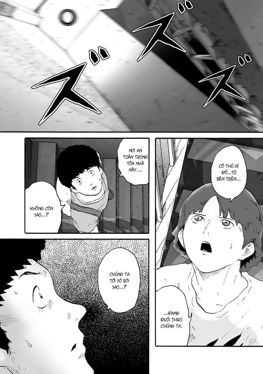 insects r chapter 5 - Trang 17