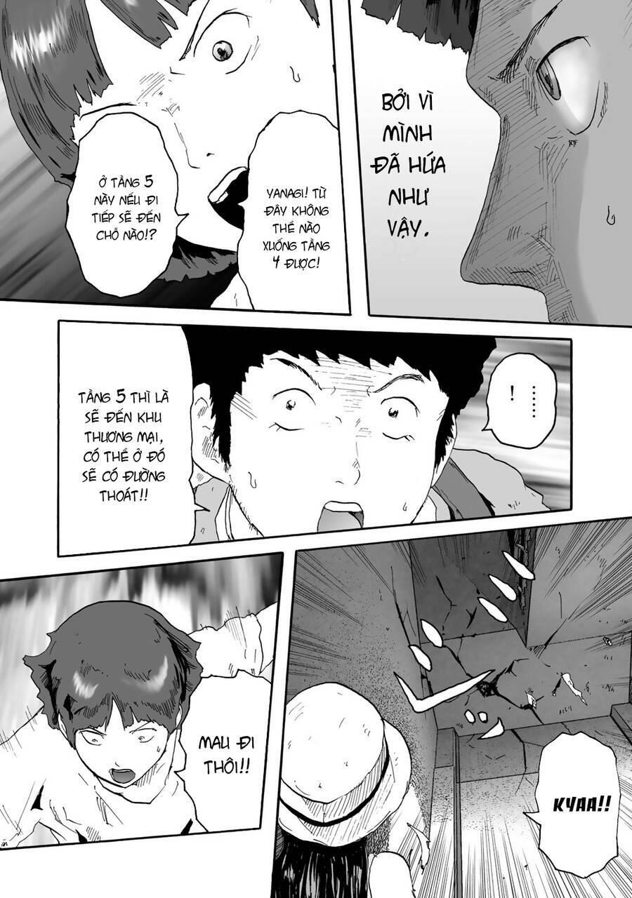 insects r chapter 5 - Trang 24