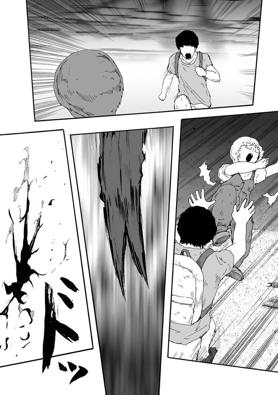 insects r chapter 5 - Trang 29