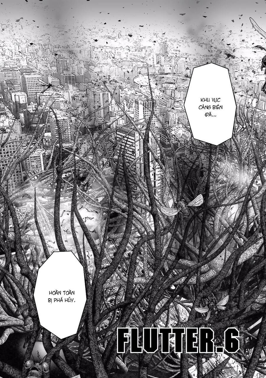 insects r chapter 6 - Trang 6