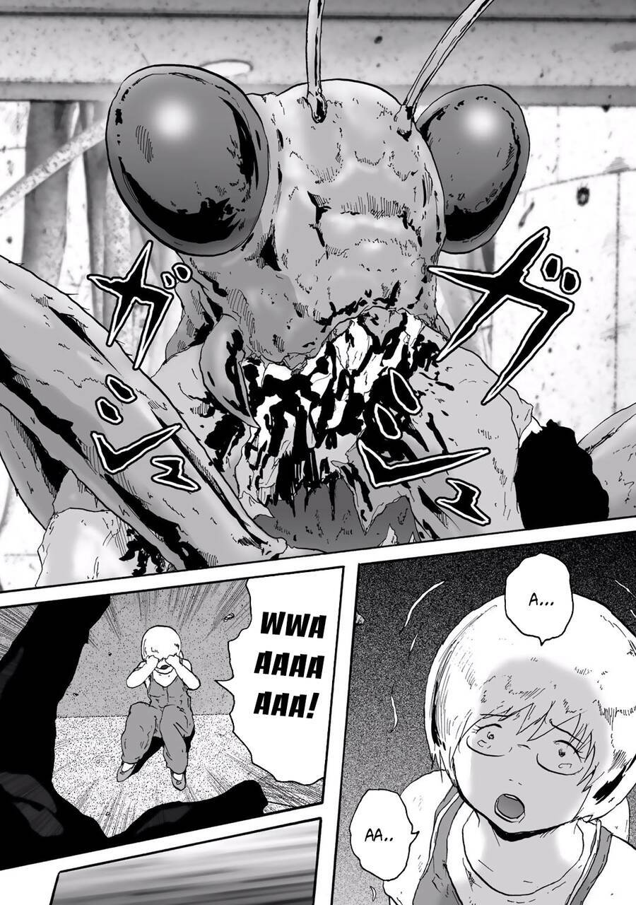 insects r chapter 6 - Trang 10