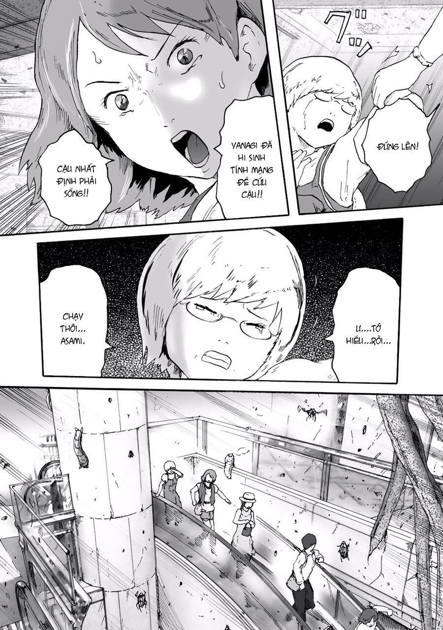 insects r chapter 6 - Trang 11