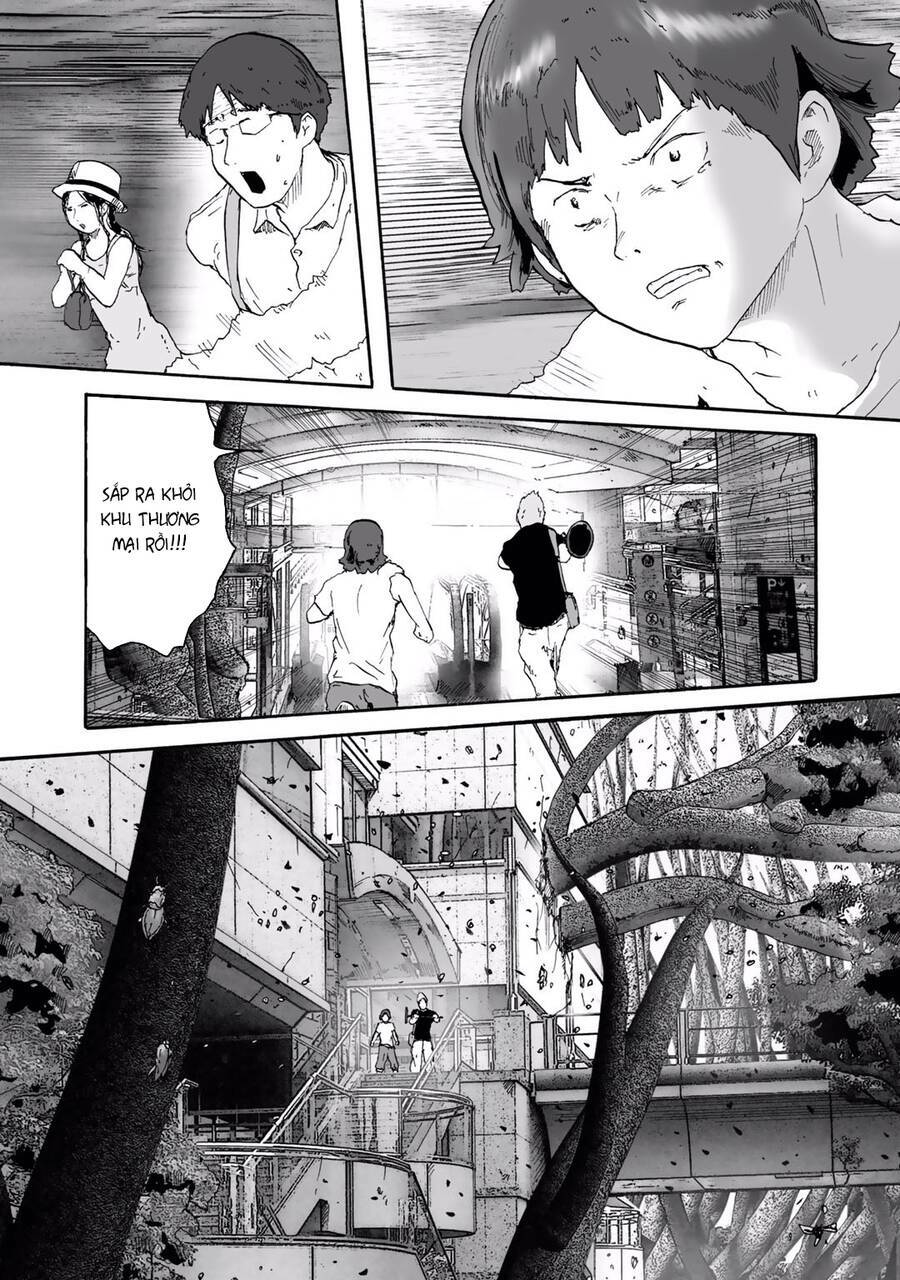 insects r chapter 6 - Trang 12
