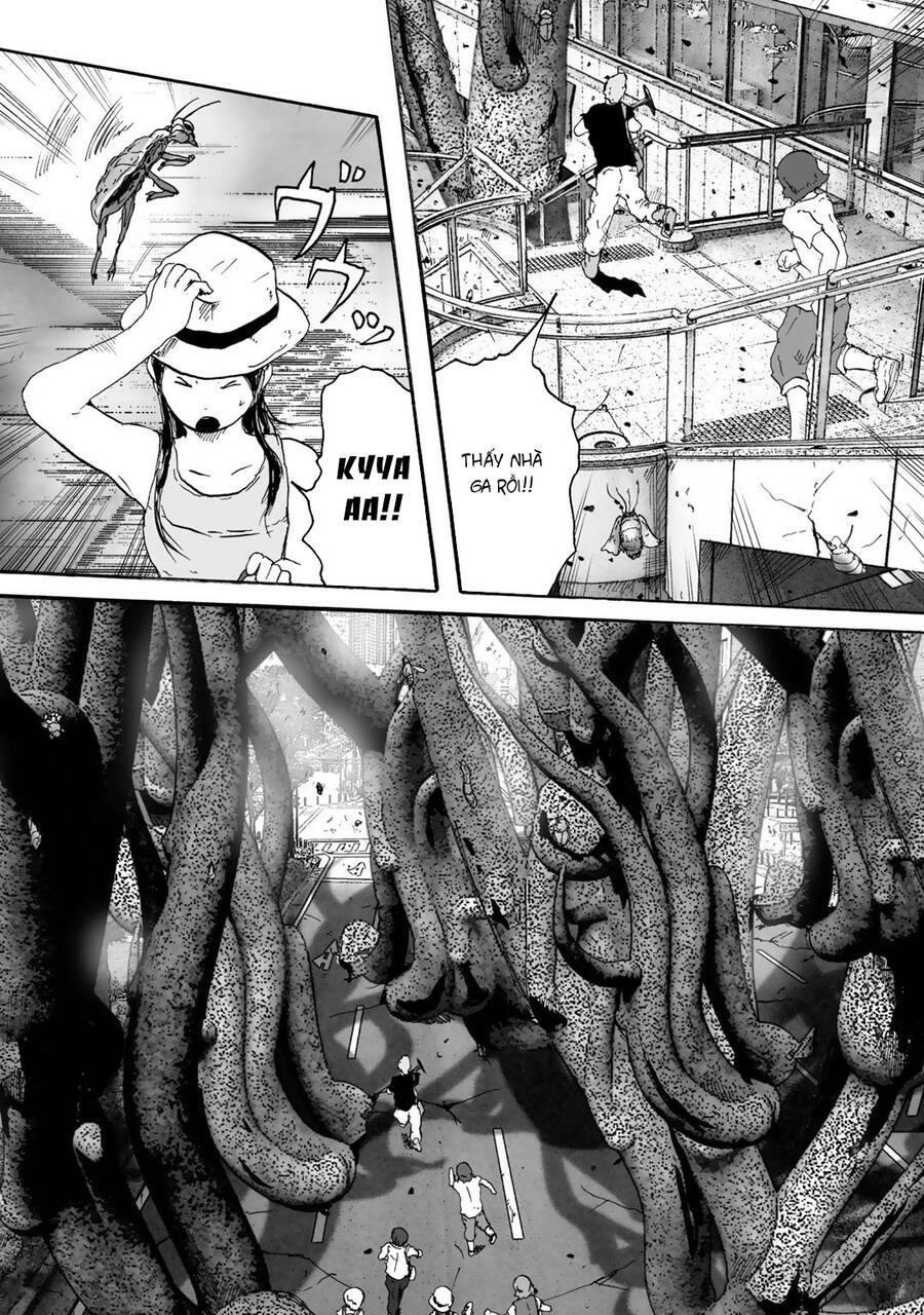insects r chapter 6 - Trang 13