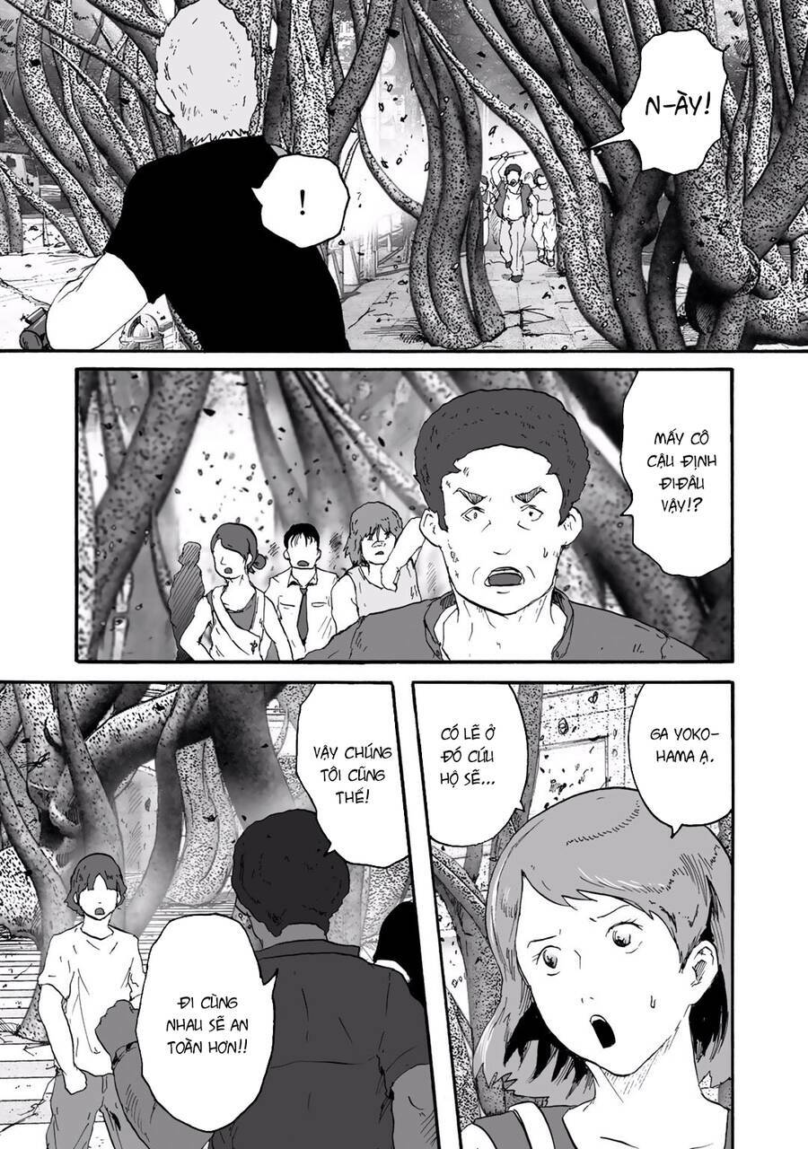 insects r chapter 6 - Trang 14