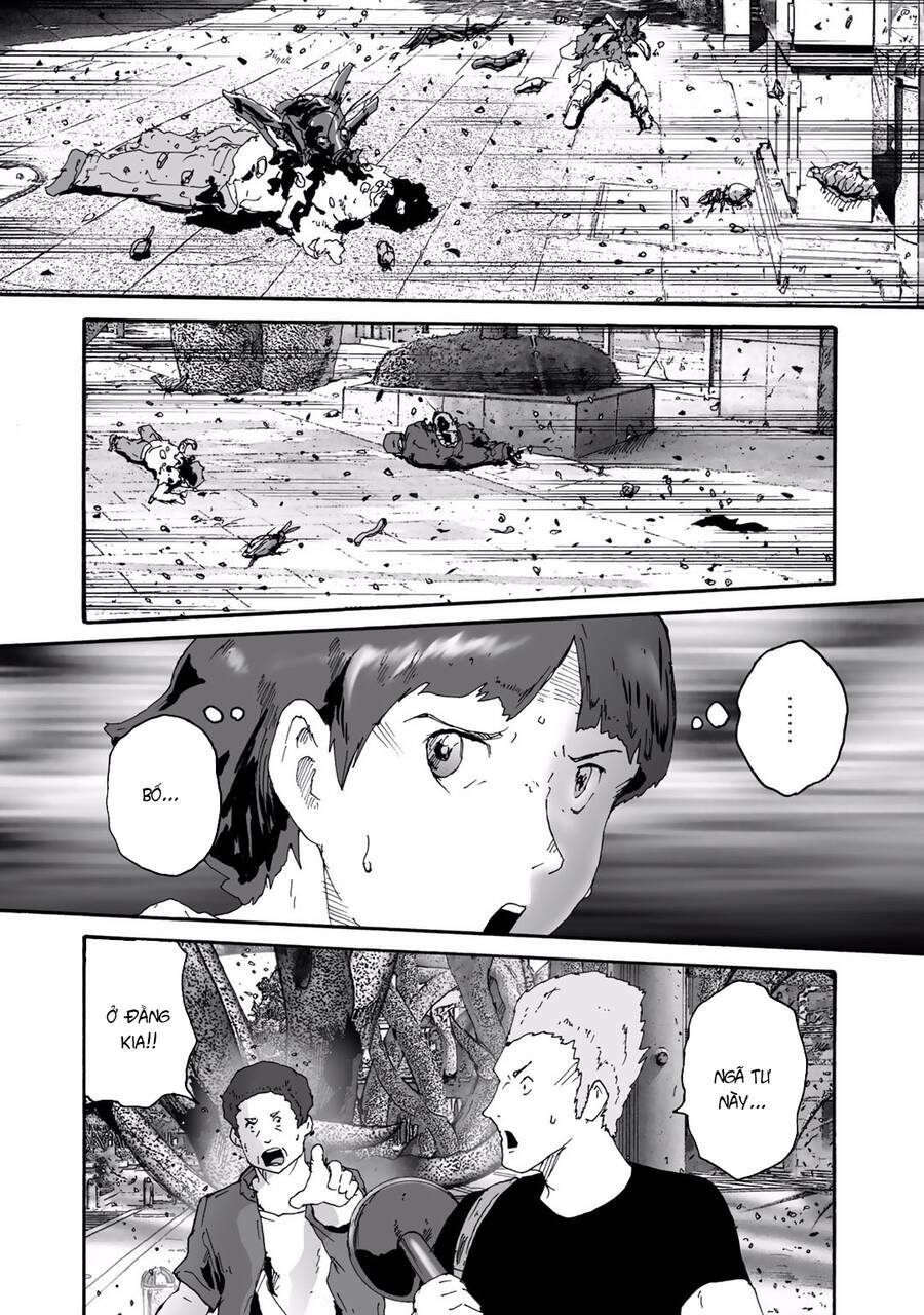 insects r chapter 6 - Trang 15