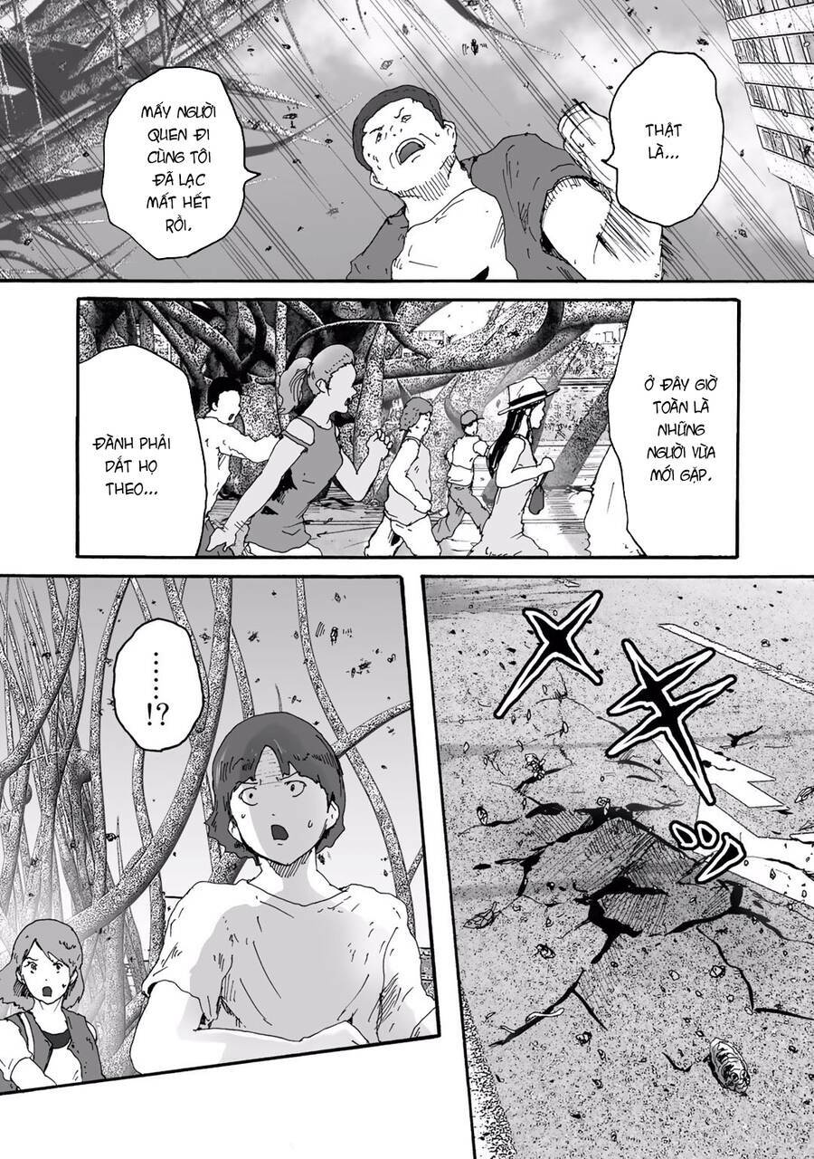 insects r chapter 6 - Trang 16