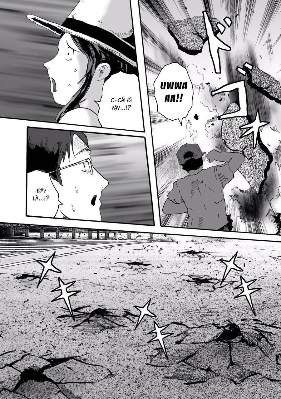 insects r chapter 6 - Trang 17