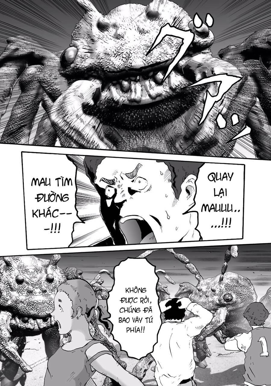 insects r chapter 6 - Trang 20