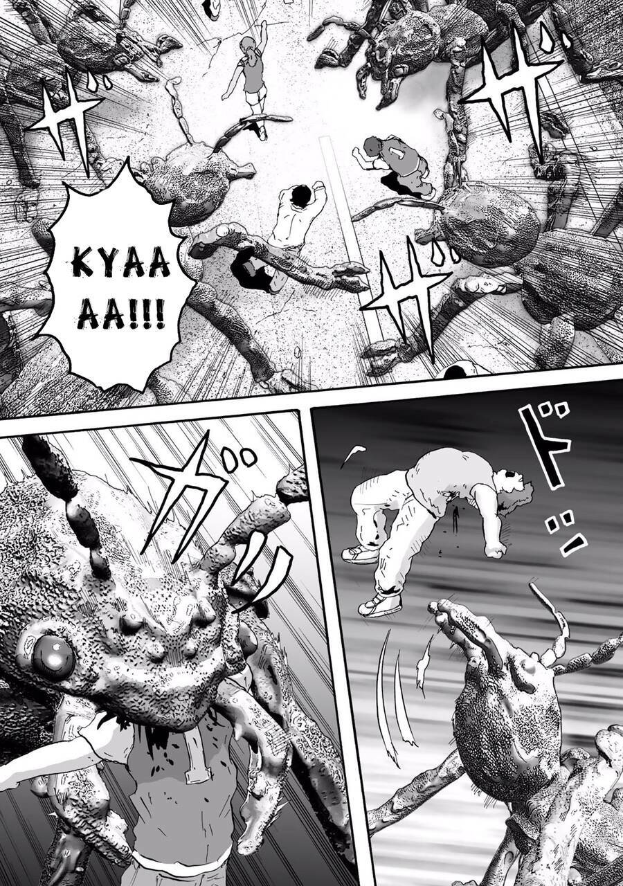 insects r chapter 6 - Trang 21