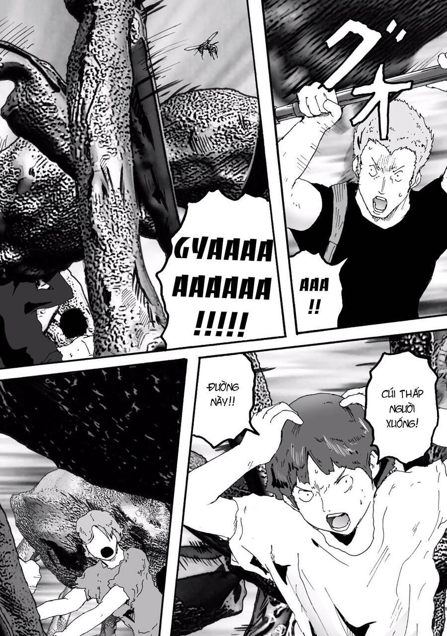 insects r chapter 6 - Trang 22
