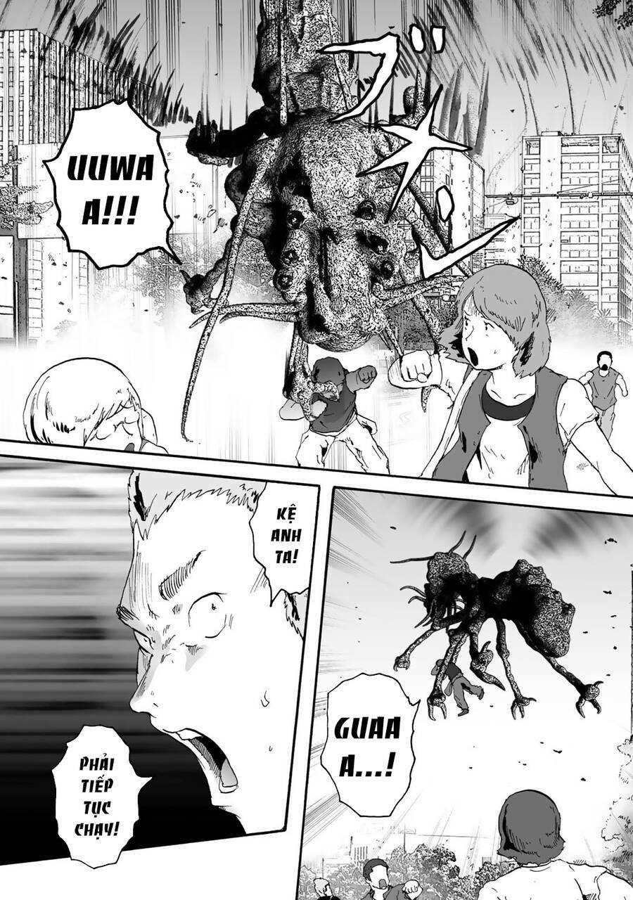 insects r chapter 6 - Trang 25