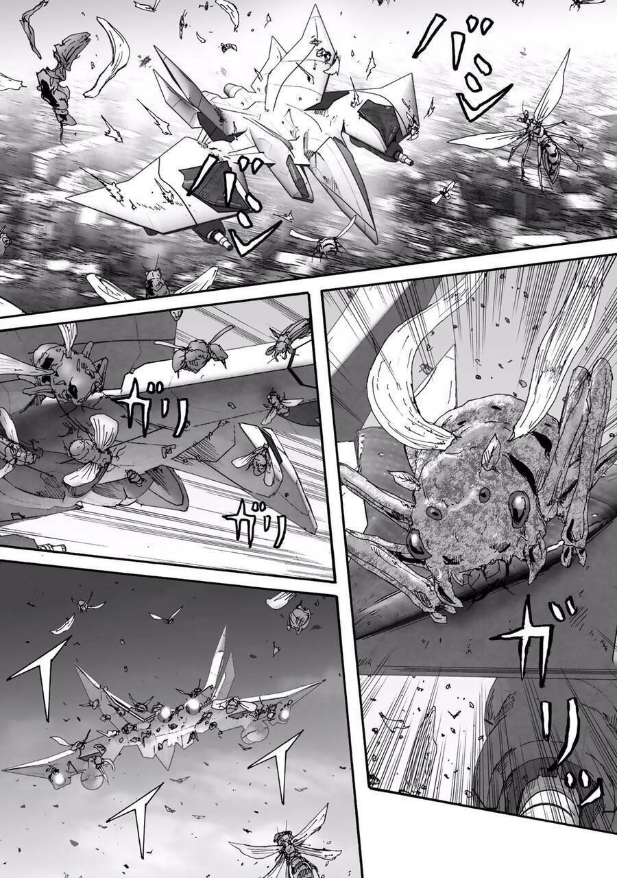 insects r chapter 6 - Trang 28
