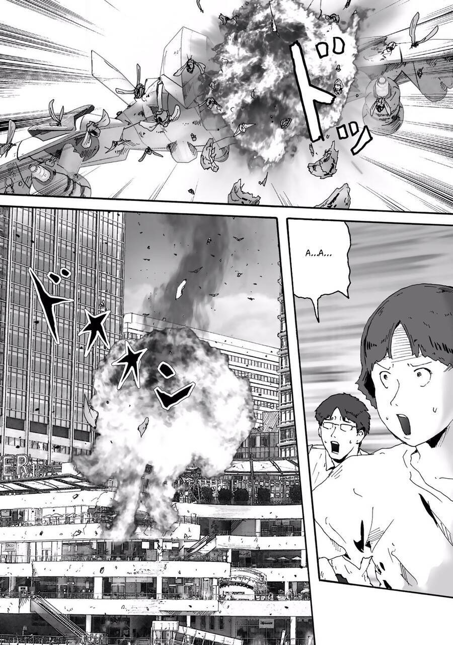 insects r chapter 6 - Trang 29