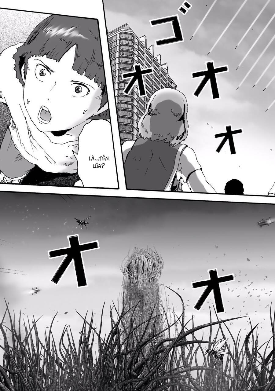insects r chapter 6 - Trang 37