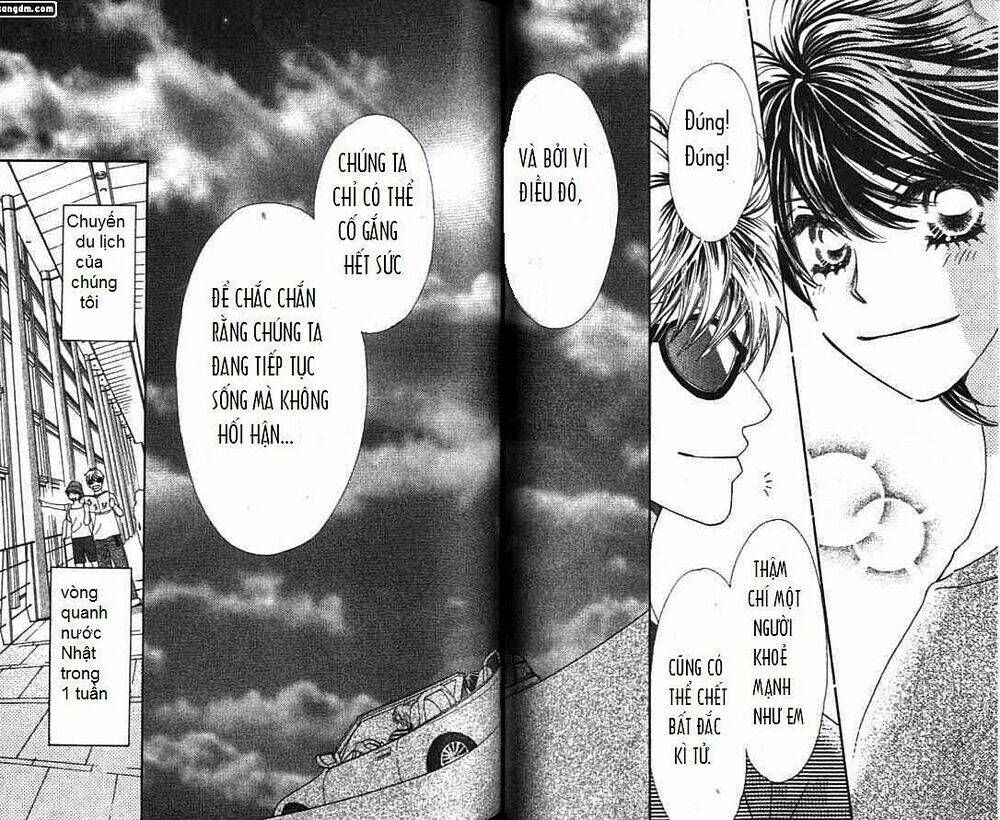 diamond life chapter 12 - Trang 23