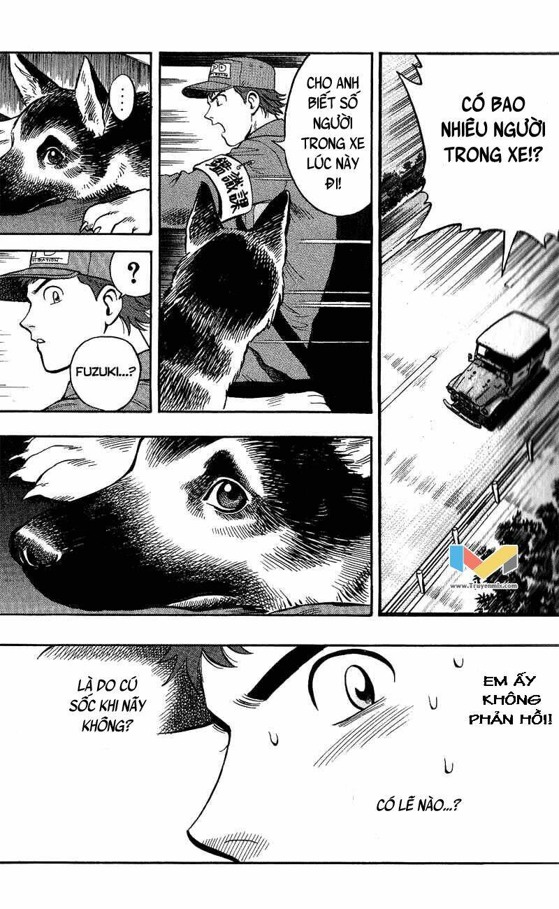 animal sense chapter 9 - Trang 16