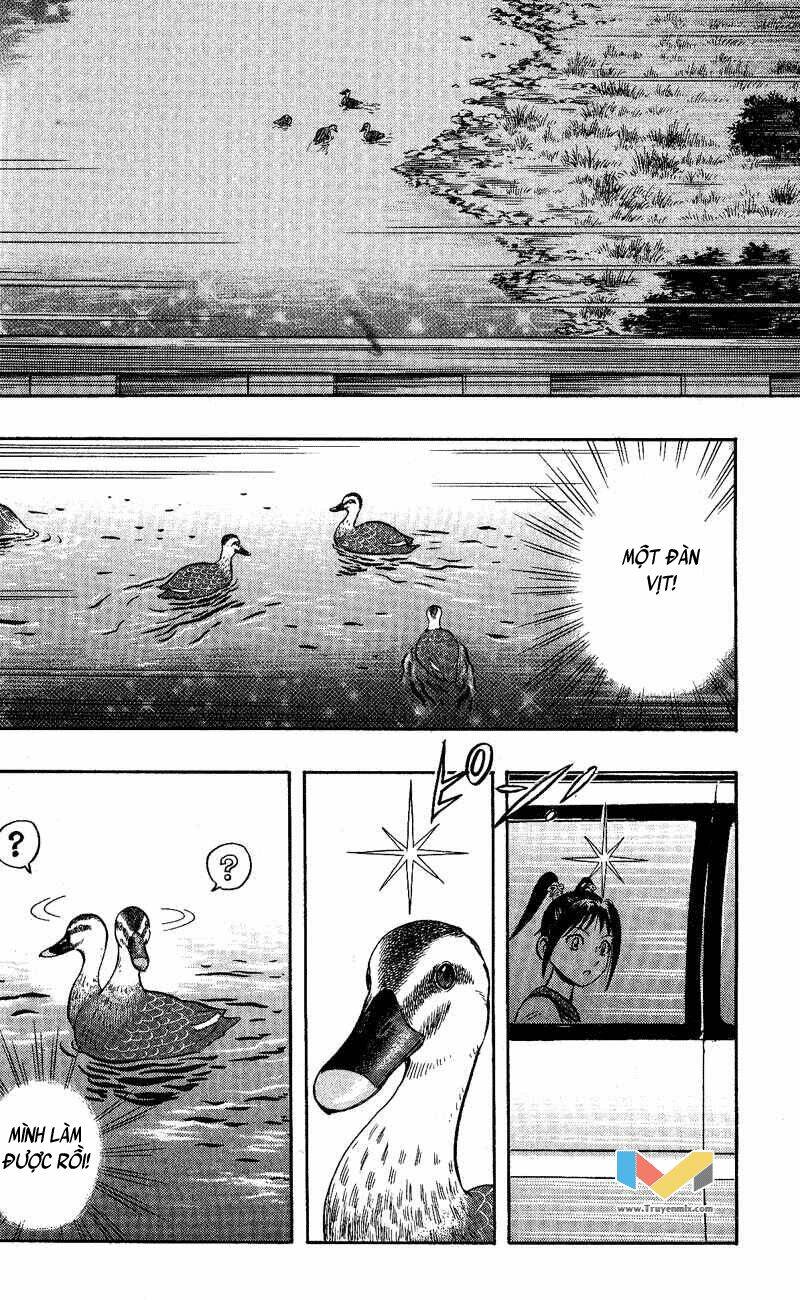animal sense chapter 9 - Trang 23