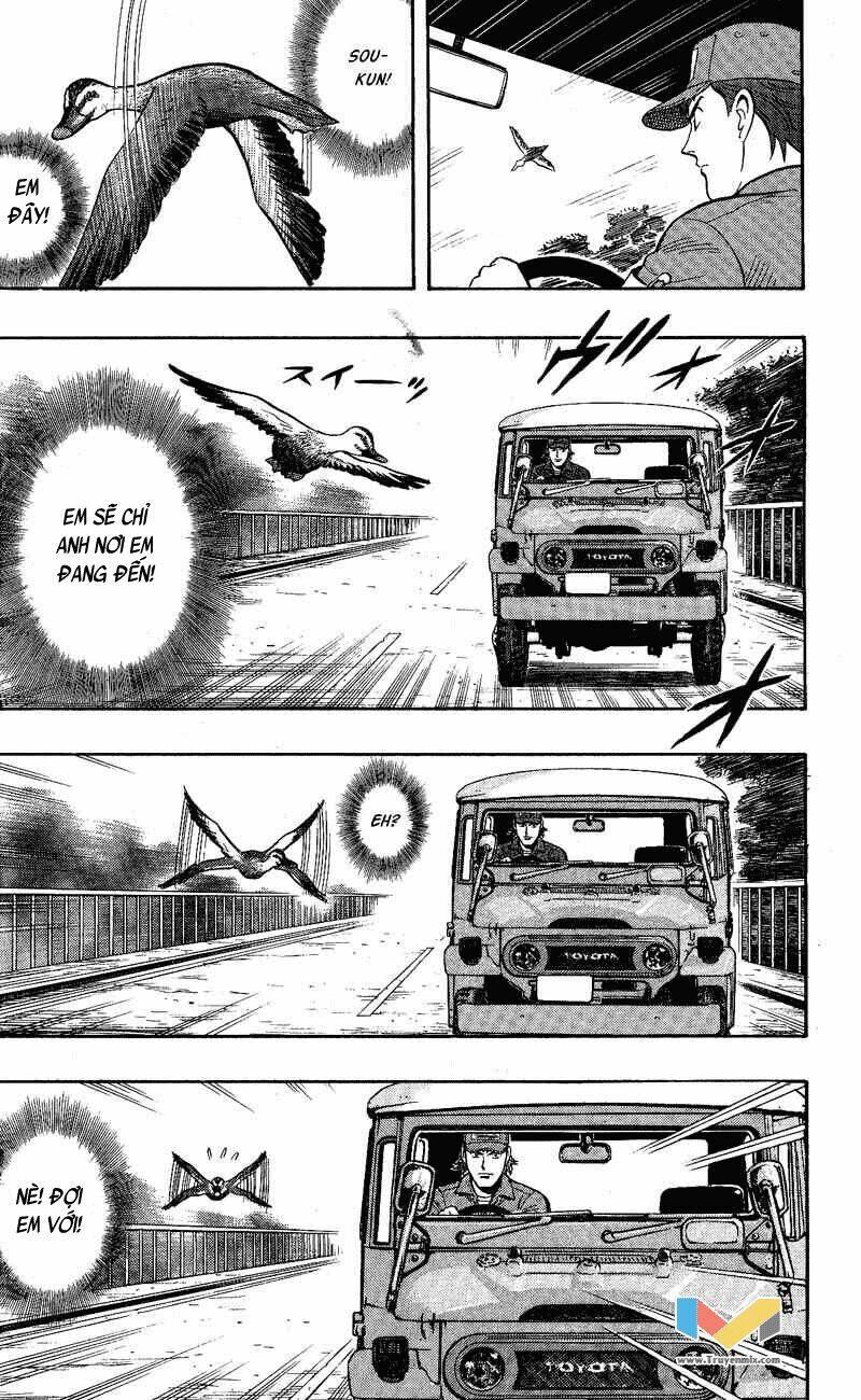 animal sense chapter 9 - Trang 27