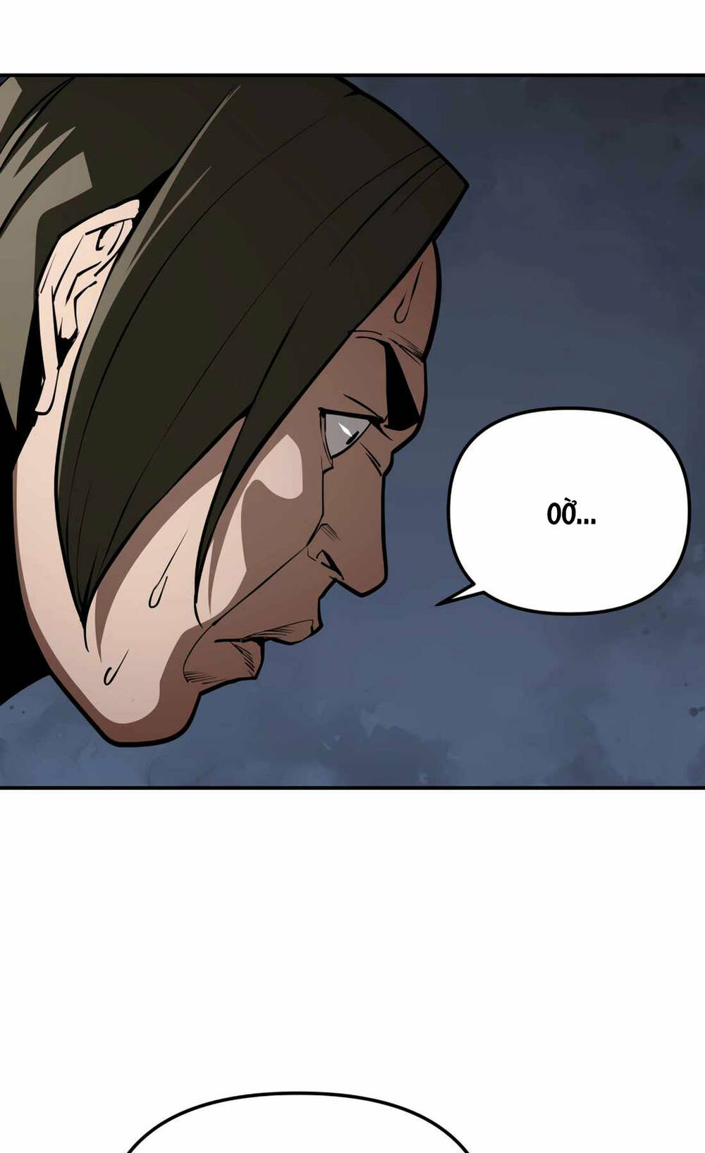 99 Thủ Lĩnh chapter 10 - Trang 13