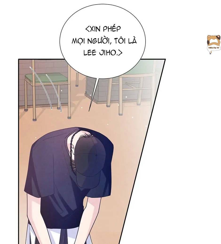 Bí mật K-pop của tôi chapter 5 - Trang 8