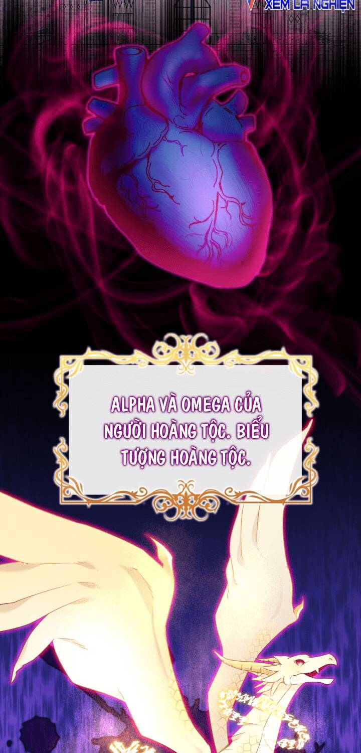 Công Chúa Dược Sĩ Bé Con chapter 3 - Trang 148
