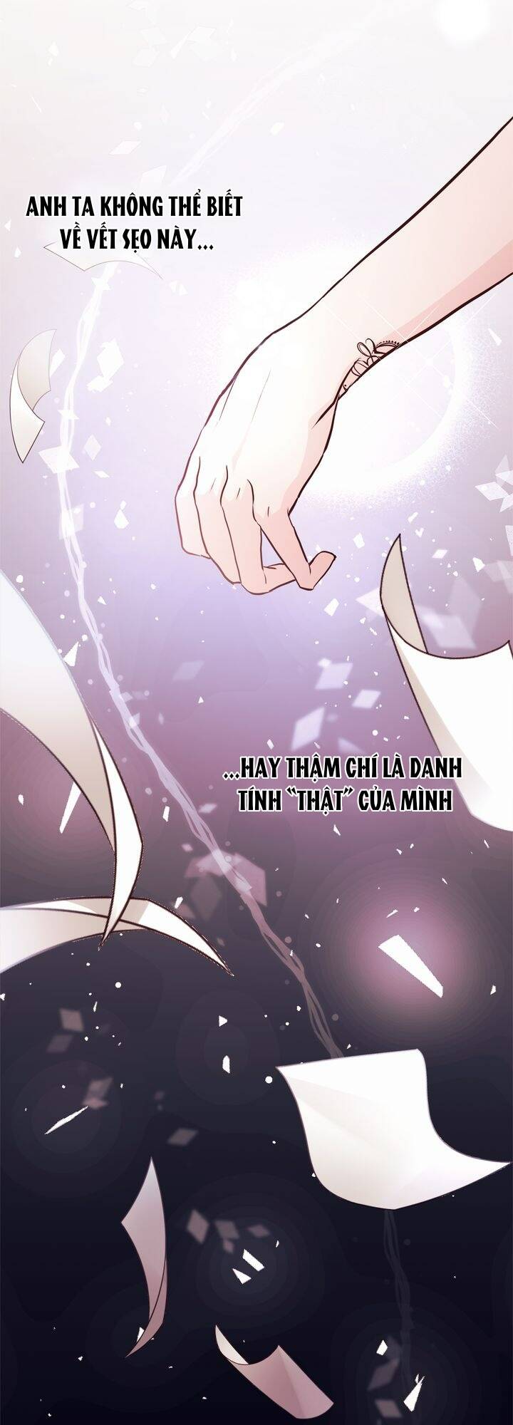Nàng Dâu Bí Ẩn Của Bạch Sư Tử chapter 2 - Trang 10