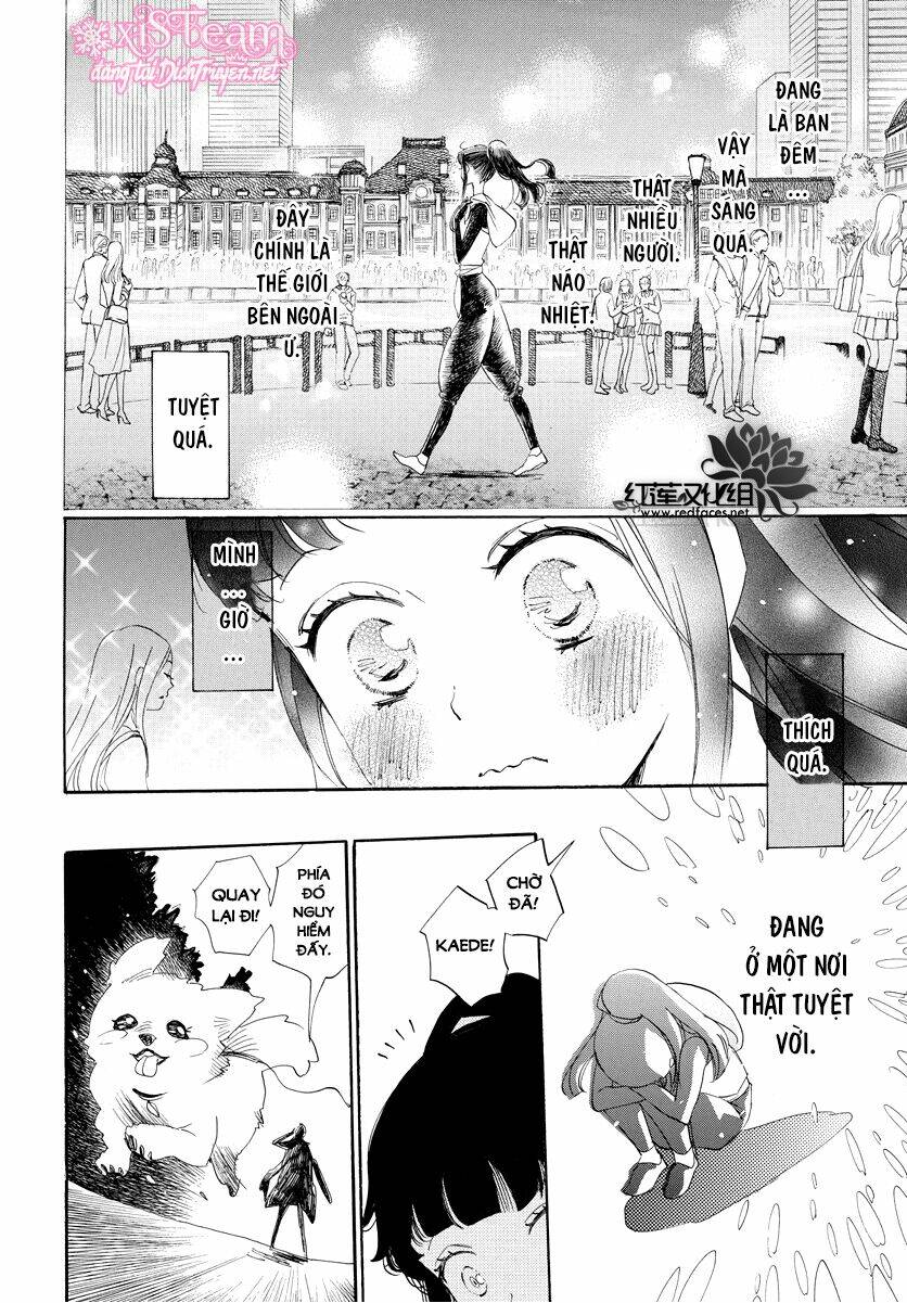 Nin Koi chapter 5 - Trang 12