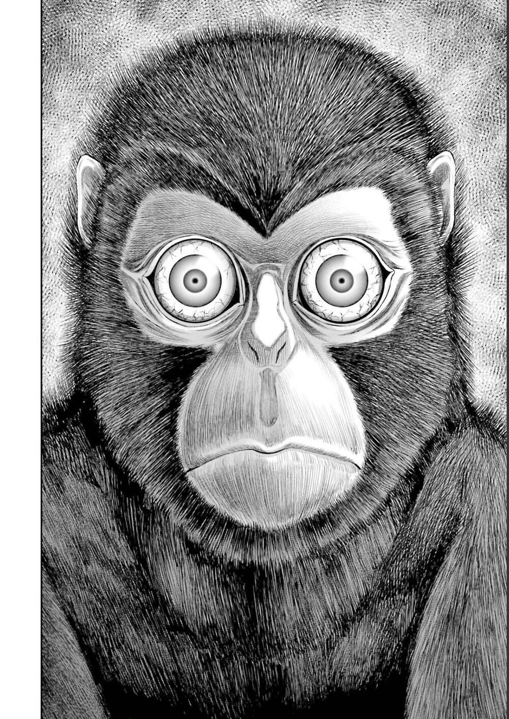 Sarumane chapter 3 - Trang 12